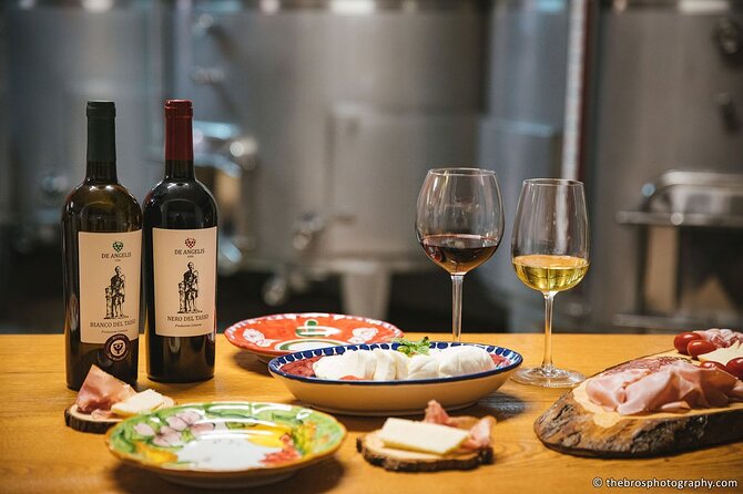 2-hour tasting of 5 wines in Sorrento - Key points to know