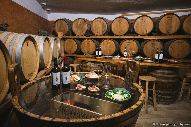 2-hour tasting of 5 wines in Sorrento - Five wines: what to focus on while you taste