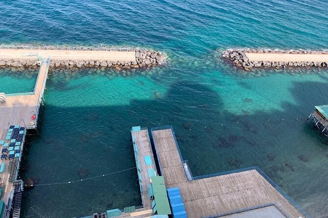 3 Hour Walking Tour of Sorrento with Local Food Tasting - Price and value: is $55.56 worth it?