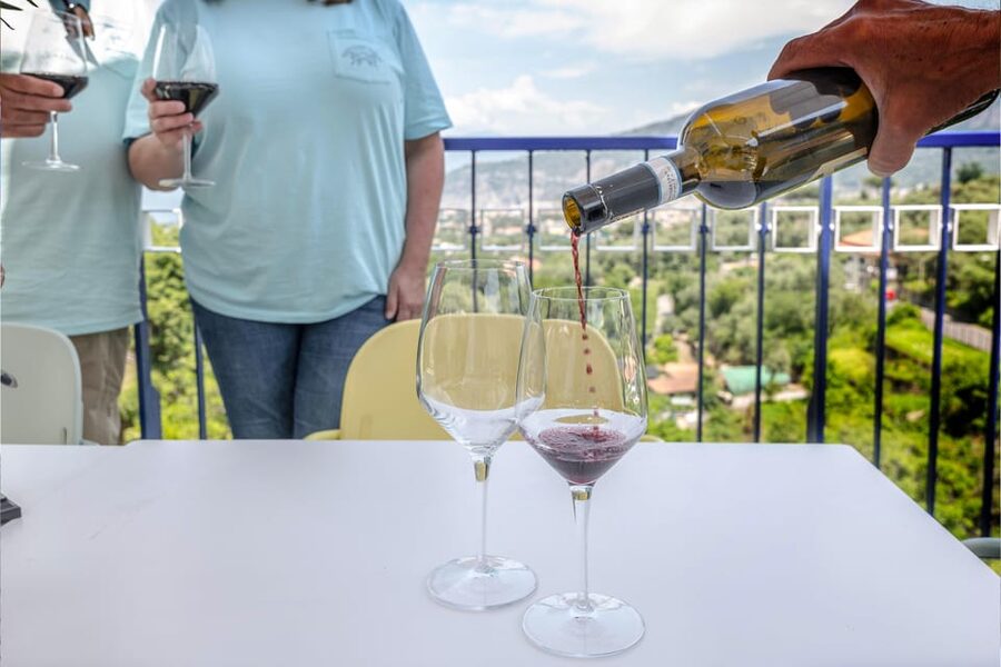 5 Wine Tastings with Typical Products in Sorrento Coast - Who Should Book This Tasting (And Who Might Skip It)