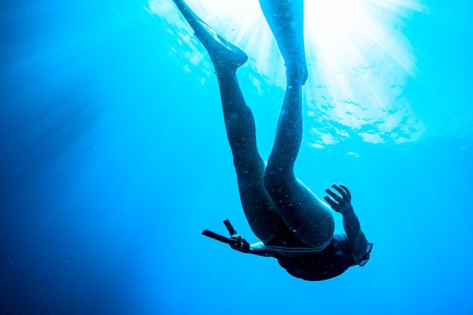 Afternoon snorkelling guided by a marine biologist in Sorrento - Why a marine biologist in the water changes everything