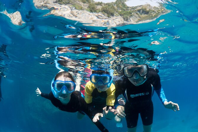 Afternoon snorkelling guided by a marine biologist in Sorrento - Meet Fabio and Captain Andrea: what the guides add to the experience