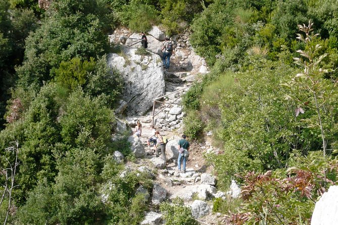 All Inclusive Path of the Gods Hiking - Why This Path of the Gods Trip Feels Worth It From Sorrento