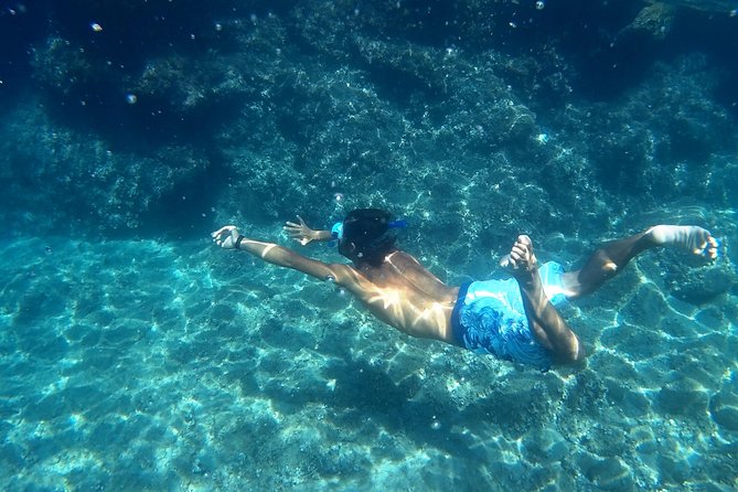 Amalfi Coast Kayak Tours from Marina del Cantone - Key highlights I’d bet on
