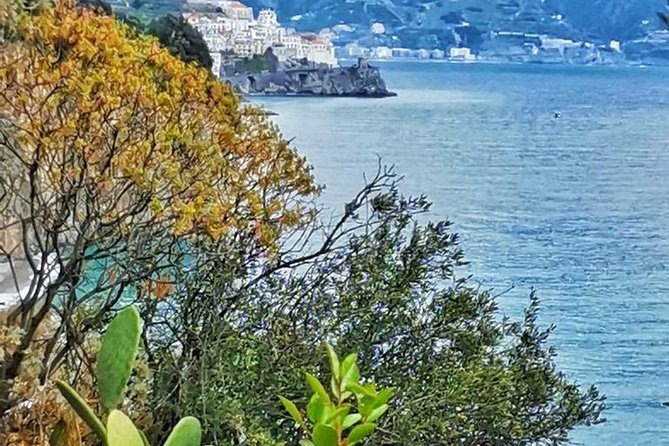 Amalfi Coast Private Tour from Sorrento: Exclusive Mercedes Van - Optional detours: how the best drivers shape the day