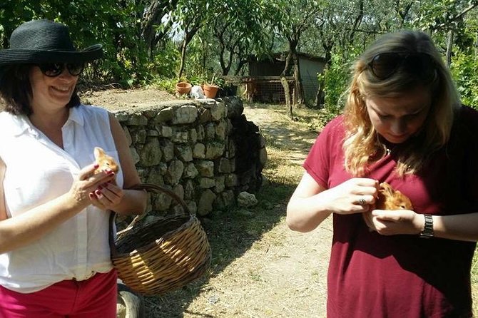 Amalfi Coast & Sorrento Cooking Class School at Farmhouse - Chef-led cooking: homemade pasta, sauces, and seasonal mains