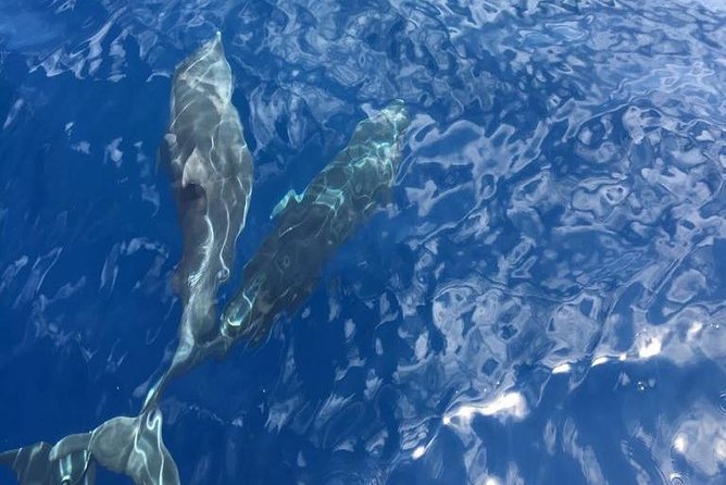 Appreciate the Amalfi coast on a luxury yacht! - The cruise highlights: what each stop really gives you