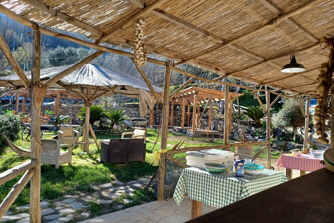 Authentic Farm Tour with Pizza, Cheese, Wine & Limoncello Tasting - Getting there: meeting point and the start at 11:30