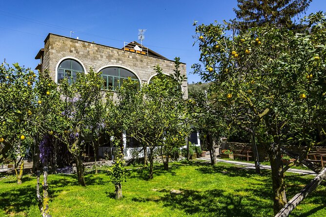 Backroads & Limoncello Experience: Sorrento E-Bike Tour - Key highlights worth knowing