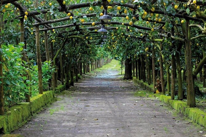 Backroads & Limoncello Experience: Sorrento E-Bike Tour - Price and value: what $90-ish buys you in Sorrento