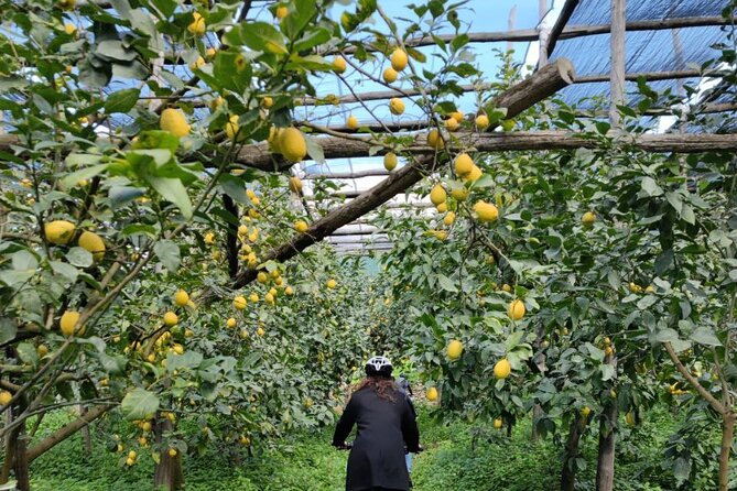 Backroads & Limoncello Experience: Sorrento E-Bike Tour - Should you book this Sorrento E-Bike Tour with Limoncello?