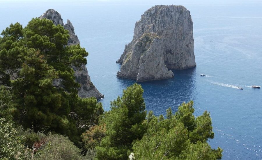 Capri and Anacapri Full-Day Tour - Anacapri First: Higher Ground, San Michele, and Optional Monte Solaro Views