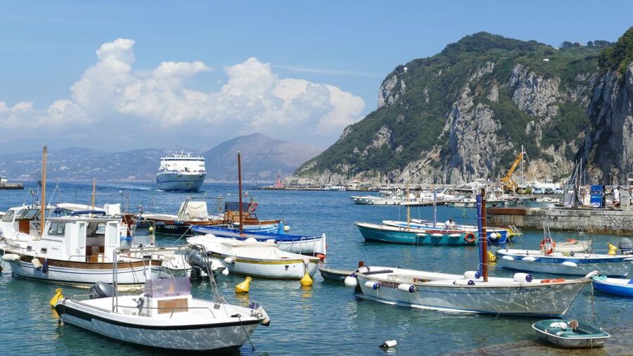Capri and Anacapri Walking Tour from Sorrento - The guides: organization, patience, and real-world crowd control