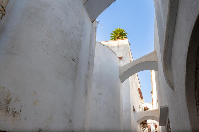 Capri and Blue Grotto Day Tour from Naples or Sorrento - Jetfoil Crossing to Capri: Fast, Scenic, and Actually Time-Saving
