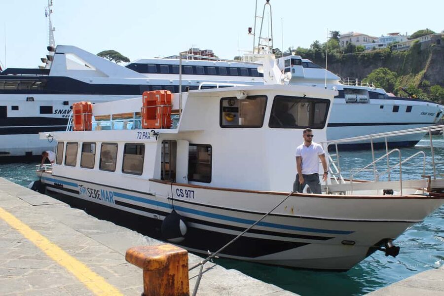 Capri: Blue Cruise with Guide from Sorrento, C.Stabia,Seiano - Who This Capri Blue Cruise Suits Best