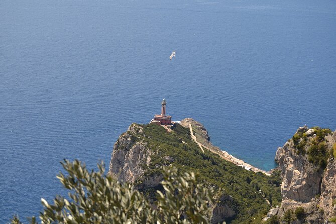 Capri Day Tour with a Local Guide - Hidden Gems & Stunning Views - Marina Grande Finish: Shops, the Beach, and Getting Back on the Ferry