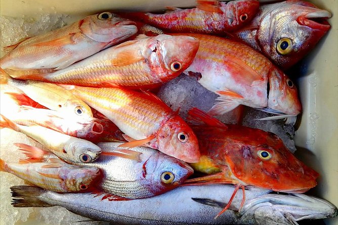 Capri Fishing Excursion with Snorkeling and Lunch from Sorrento - Getting There: The 8:00 AM Start From Sorrento