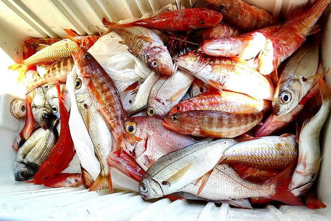 Capri Fishing Excursion with Snorkeling and Lunch from Sorrento - Capri Free Time: How to Use Your Island Hours