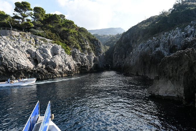 Capri One Day: Visit the Island by Sea and Land with Blue Grotto - Capri town for 3 hours: Via Camerelle and Piazzetta Umberto I