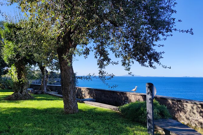 Car Tour admiring Capri and visiting Positano - Return drive past Vesuvius: Ripa di Cassano and Belvedere della Marinella