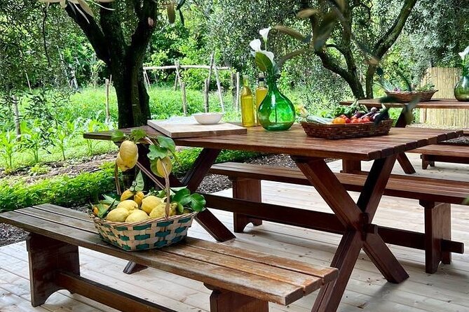 Cooking Class in a Typical Sorrento Garden - A Lemon Cello Welcome Before You Touch the Pots