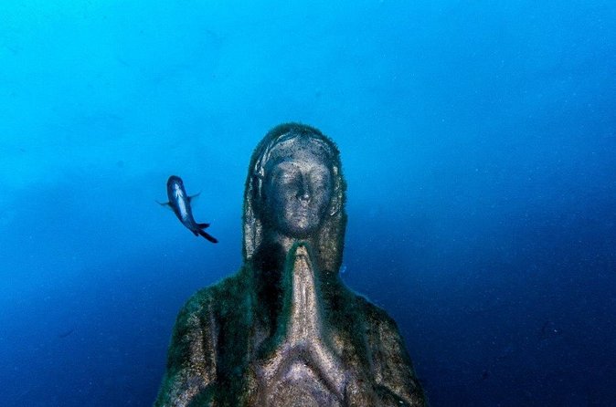 Double dive in the Punta Campanella Marine Protected Area - First site: wall route with marine life you can actually track