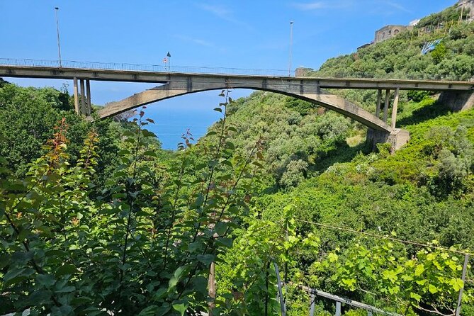 E-Bike Tour in the Sorrento Peninsula and Visit to Acetaia - The Guide Factor: Clear Explanations Make the Riding Worth It