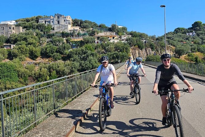E-Bike Tour with Craft Beer Tasting in Sorrento - E-bike basics: what the ride part is like