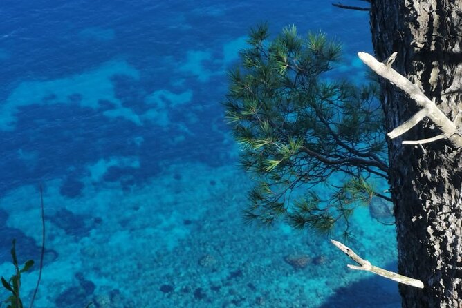 Exclusive Private Boat Tour to capri & Amalfi coast from Sorrento - Food on Capri: good chance for a sea-view meal, with one catch
