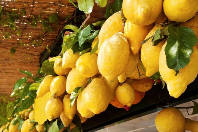 Farm-to-Table Experience: Olive Oil, Garden Tour & Nonna’s Lunch - Guide Style, Group Size, and How to Get the Most Out of It
