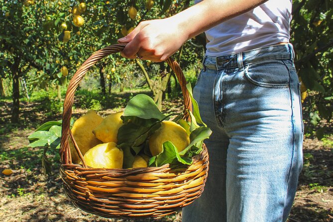 Fresh pasta and Limoncello course in a lemon grove - What You’ll Notice First: Lemons, Hands-On, and a Real Meal