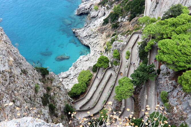 From Sorrento: Capri and Anacapri tour with Faraglioni cruise - The 1-Hour Capri Boat Tour: Grottos, Faraglioni, and the Sea Views