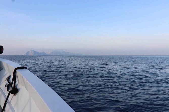 From Sorrento: Capri and Anacapri tour with Faraglioni cruise - Capri Proper: Piazzetta, Shopping Street, and a Very Timed-Day Reality