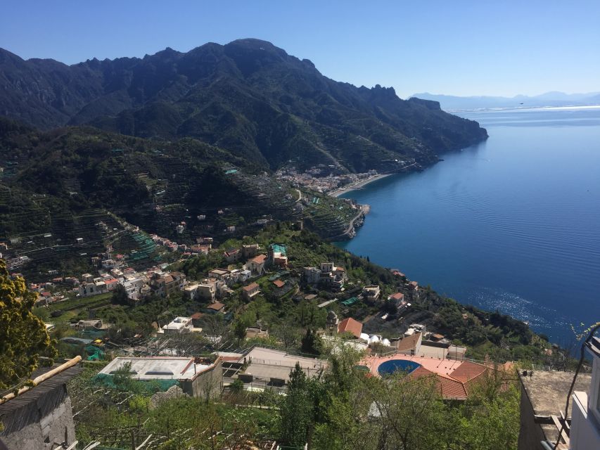 From Sorrento: Capri and Blue Grotto Day Tour - Anacapri Time: Gardens, Colorful Streets, and a Lunch You Choose