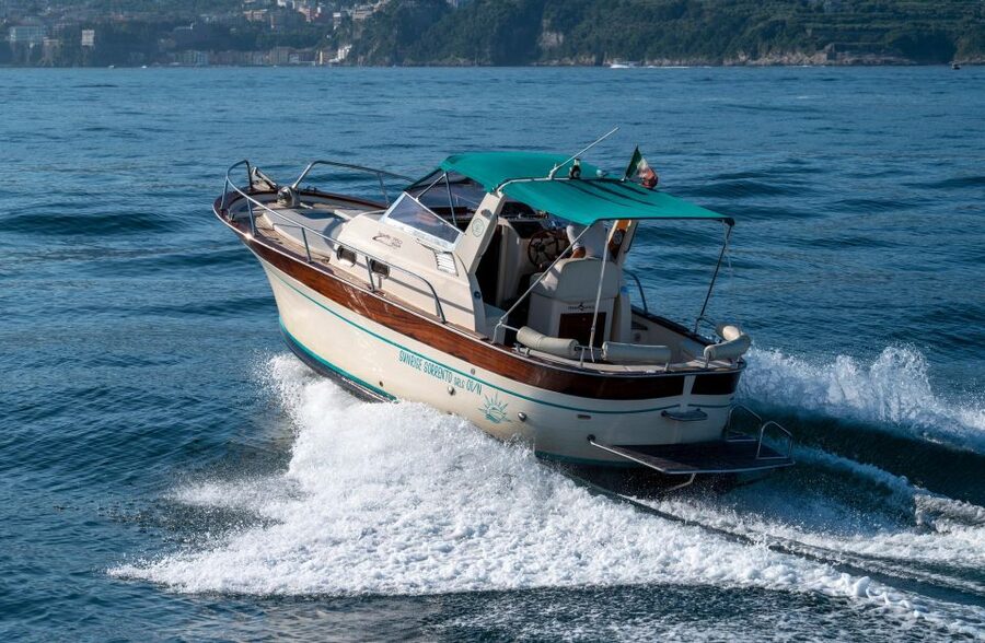 From Sorrento: Capri and Positano Private Day Cruise - Who This Capri and Positano Private Cruise Is Best For