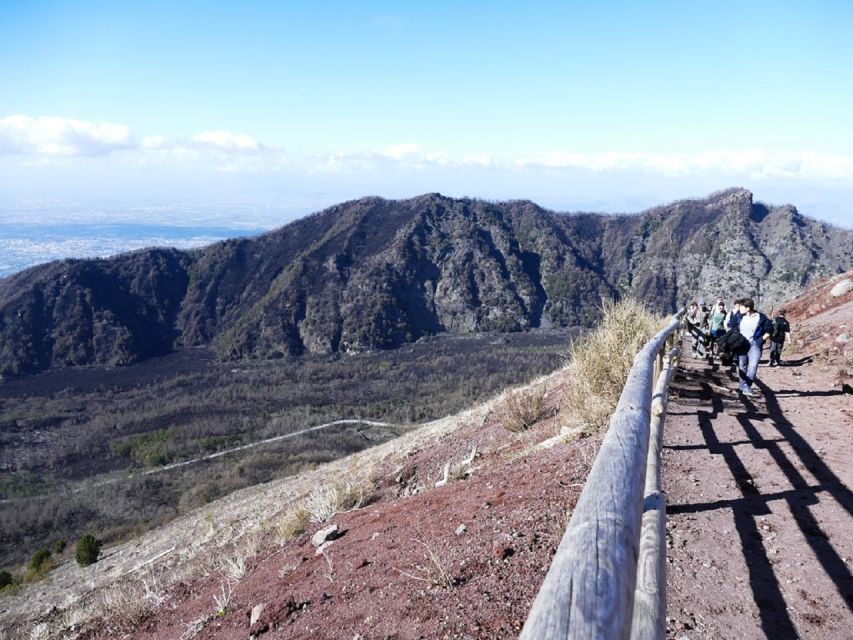 From Sorrento: Day Tour to Pompeii Ruins and Mount Vesuvius - Pompeii: The Places You Can’t Miss With a Guide