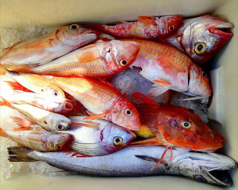 From Sorrento: Fishing in Capri with Lunch - The lunch moment: spaghetti plus catch of the day, served with wine