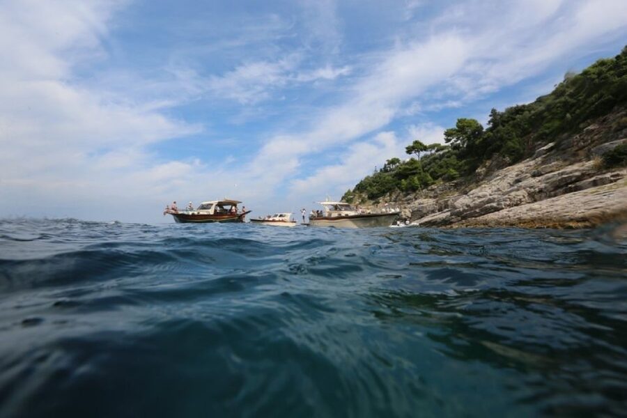 From Sorrento: Full-Day Boat Cruise to Capri - Who should book this Capri boat cruise from Sorrento
