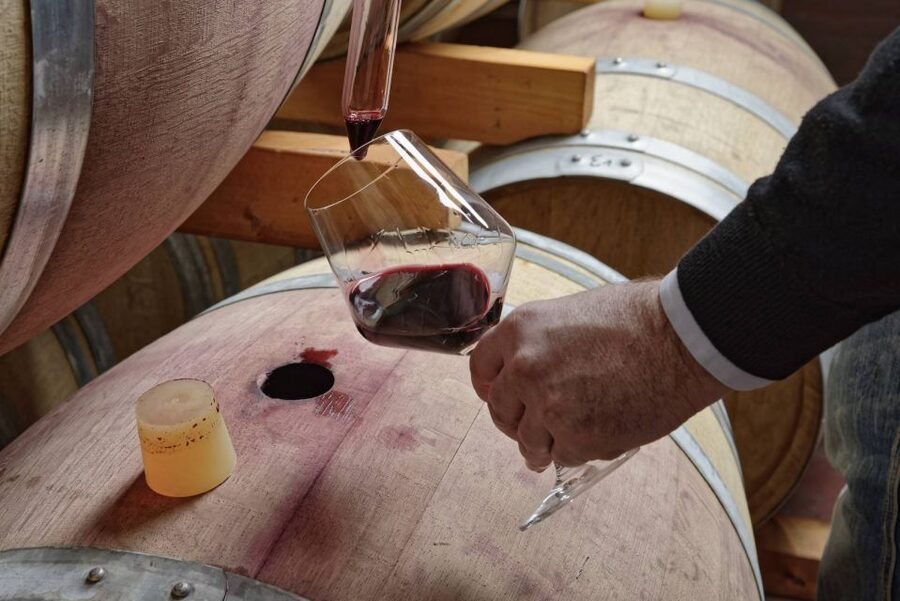 From Sorrento: Full-Day Pompeii & Wine Tasting Tour - Who this tour is best for (and who should skip it)