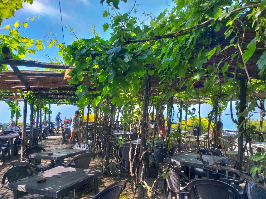From Sorrento: Mount Vesuvius Tour with Lunch & Wine Tasting - Should you book it?