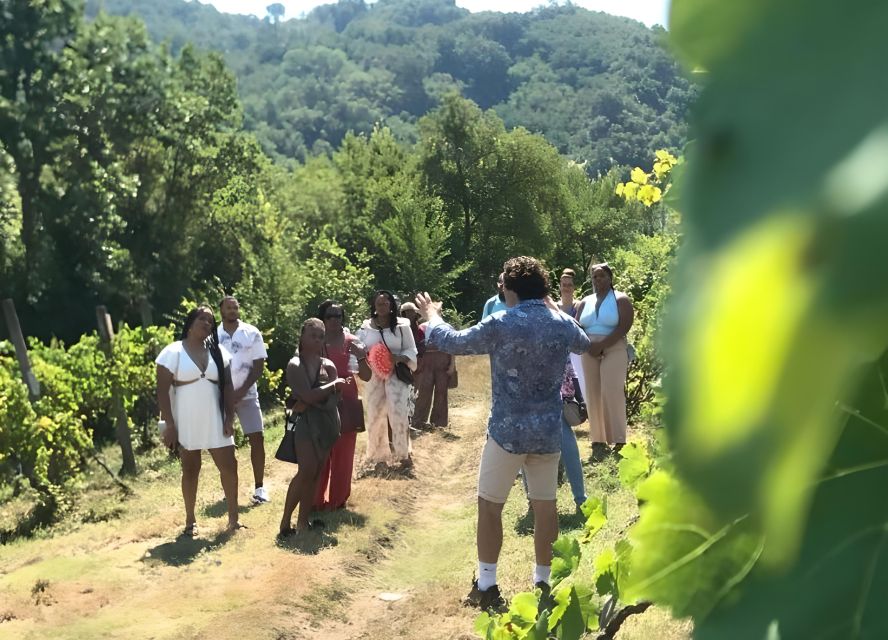 From Sorrento & Naples: Cortecorbo Wine & Cooking Experience - Price and value: what you’re paying for at $112.15 per person
