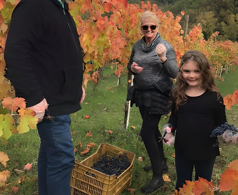 From Sorrento & Naples: Cortecorbo Wine & Cooking Experience - Who should book Cortecorbo, and who should skip it