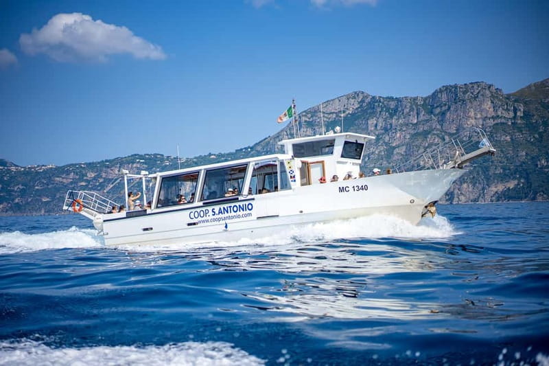 From Sorrento/Nerano: Amalfi and Positano Boat Tour - From Sorrento to Marina del Cantone: how transfers shape your day