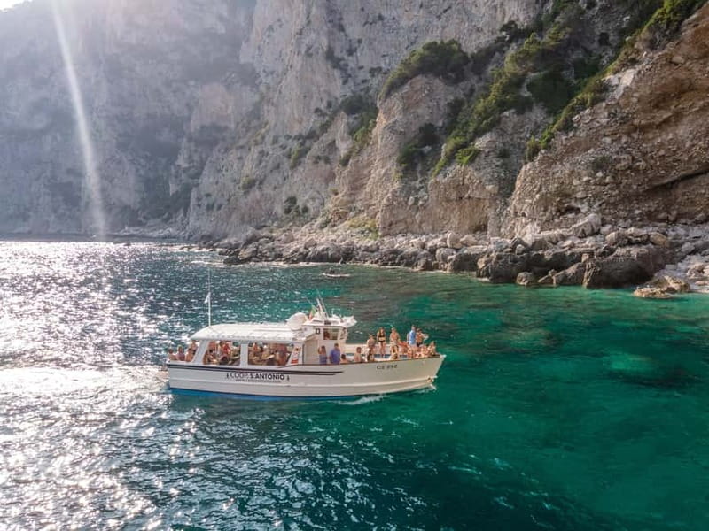 From Sorrento/Nerano: Amalfi and Positano Boat Tour - Amalfi with 3 to 3.5 hours: Cathedral area, Cloister of Paradise, and sea time