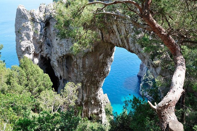 From Sorrento/Nerano: Capri Shared Tour - without pick up - The sea tour portion: grottos, Punta Carena, Faraglioni, Natural Arch