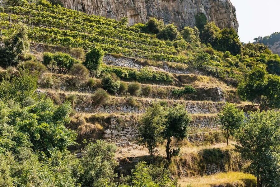 From Sorrento: Path of the Gods Guided Hike with Transfers - Who should book this hike, and who should skip it