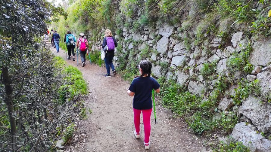 From Sorrento: Path of the Gods Hike with Tasting Stop - Who should book this (and who should skip it)