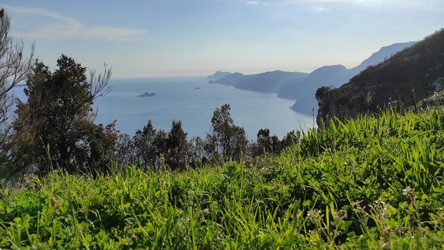 From Sorrento: Path of the Gods Hike with Tasting Stop - The return to Sorrento: you don’t have to time your own exit