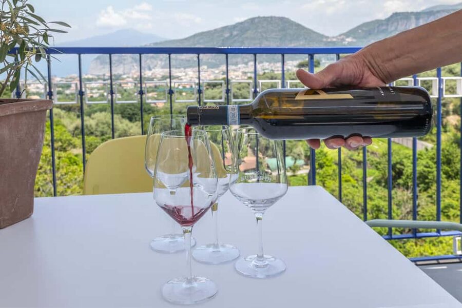From Sorrento: Pizza-Making Class w/ View of Mount Vesuvius - Price and Value: What $106 Covers and Why It Feels Fair