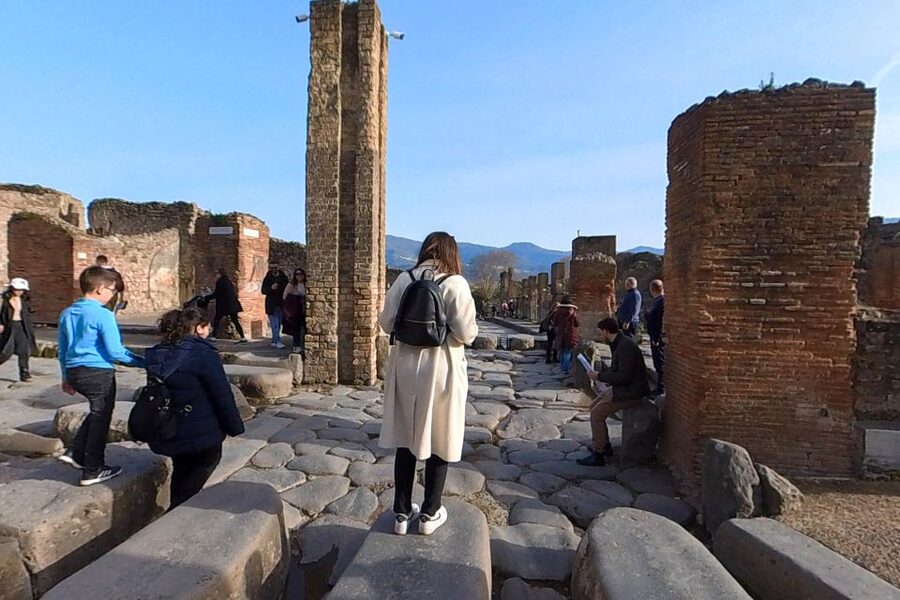 From Sorrento: Pompeii and Vesuvius Guided Tour with Lunch - Quick hits